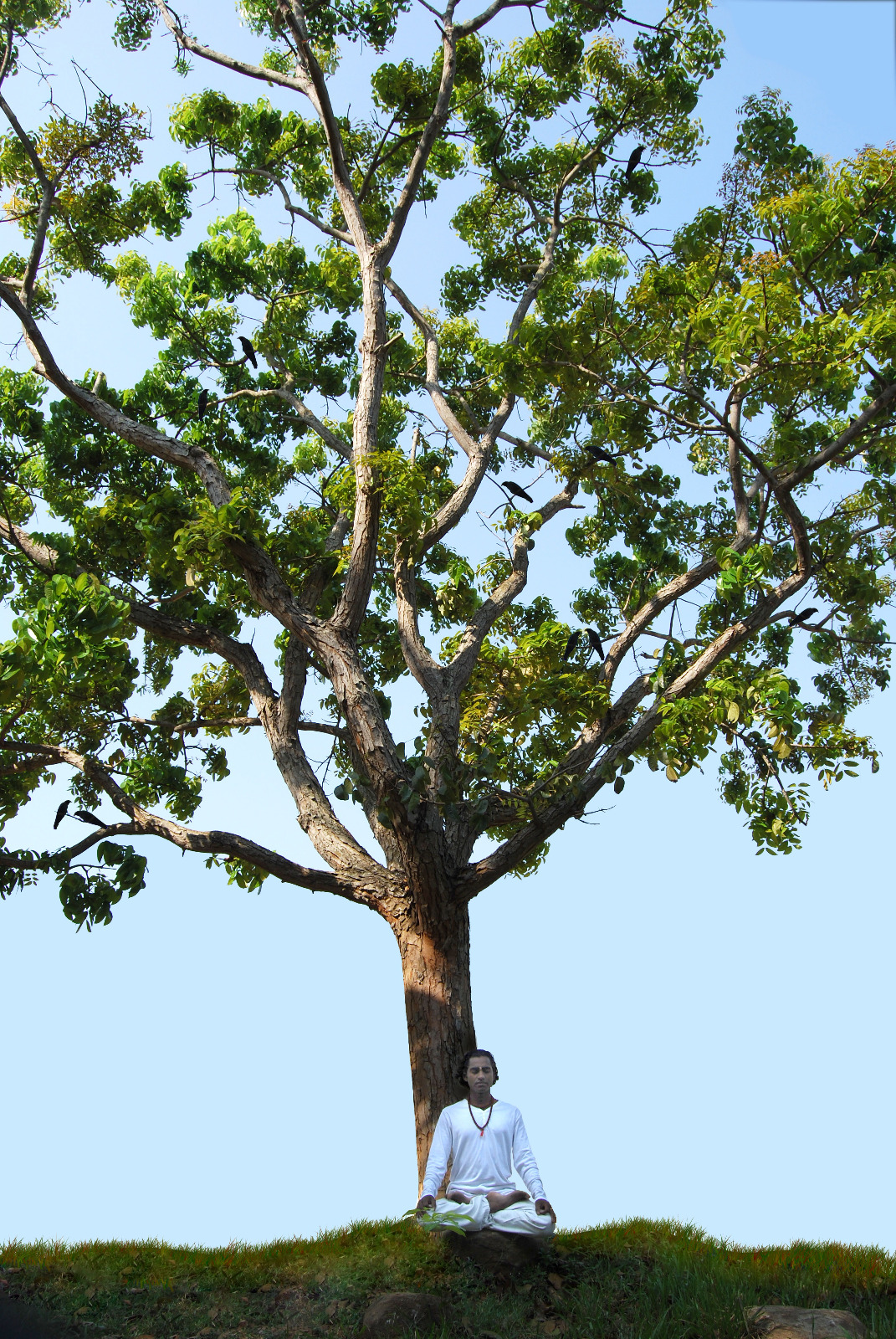 Ajan Yogi in Kerala