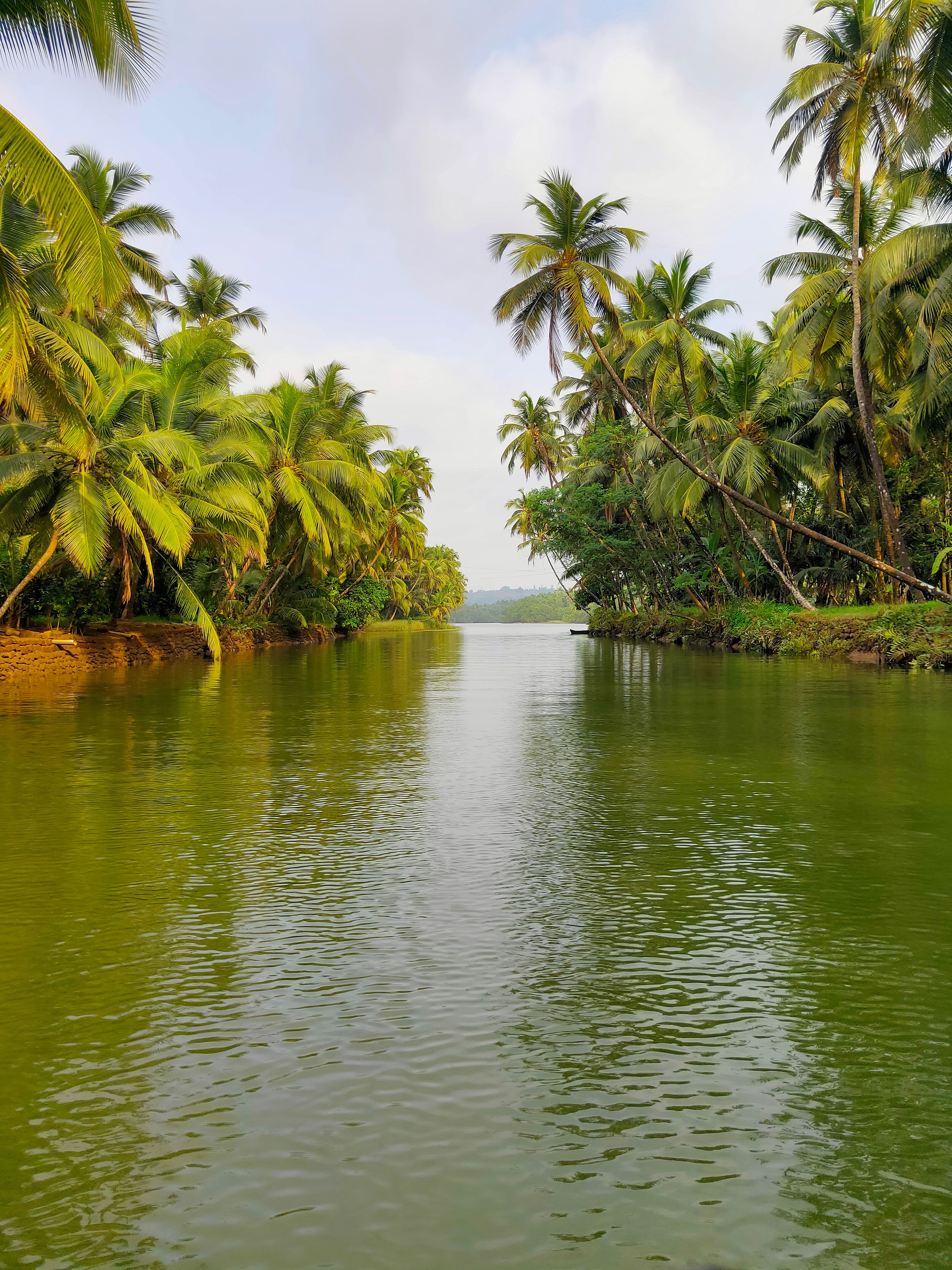 Kerala mountains, forests and waterfalls